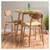 Set Of 2 24" Gavin Natural Frame Counter Height Barstool - Christopher Knight Home -Furniture Haven Sales GUEST 13fc26a2 dd16 4c87 bb68 488d0c6042bf