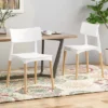 Set Of 2 Margaretta Modern Dining Chairs - Christopher Knight Home